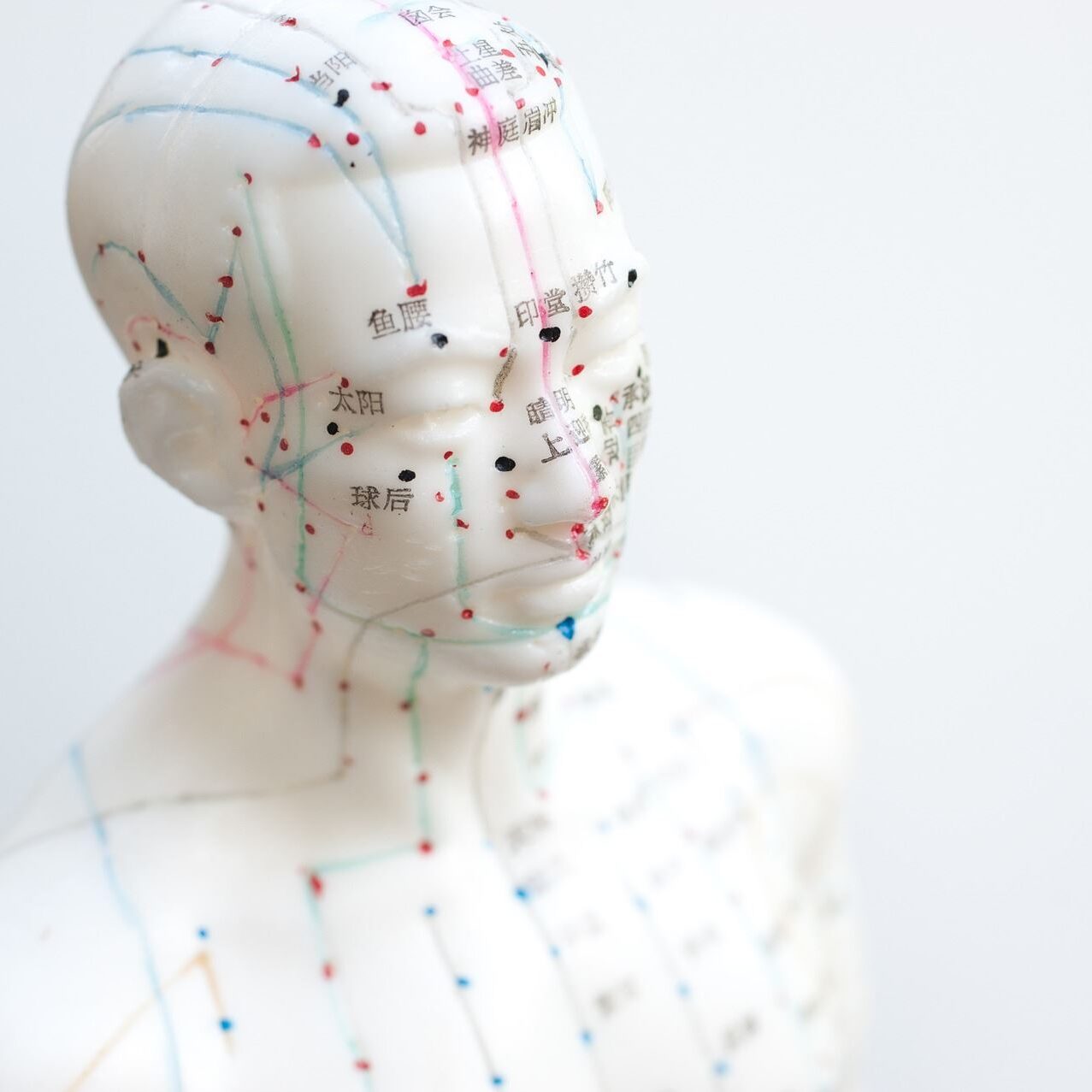 acupuncture-francois-malaise-3